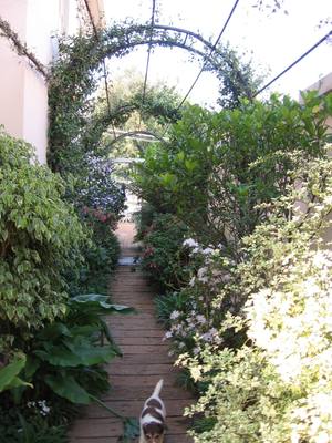 Arch Over Walkway Next To The House