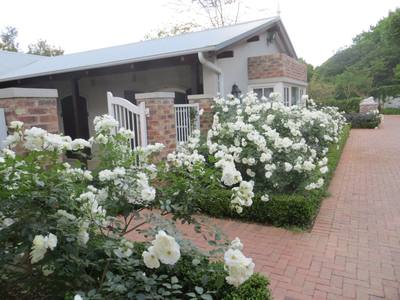 Iceberg Roses With Heliotrope