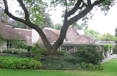 Large Tree With Rolling Lawns