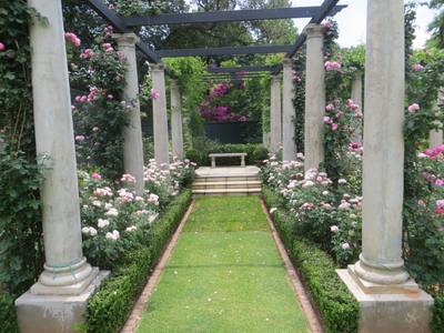 Lower Level Of Pergola