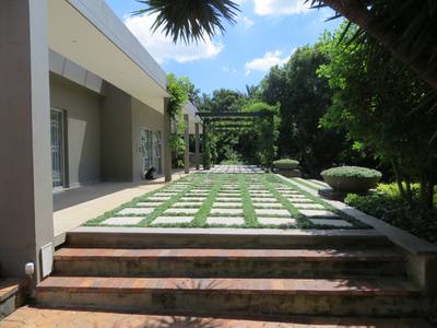 Mondo Grass In Blocks
