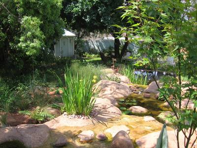 Natural Pond