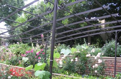 Pergola