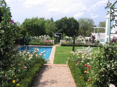 Pool Area Surrounded By Roses