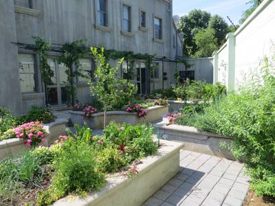 Raised Vegetable Garden