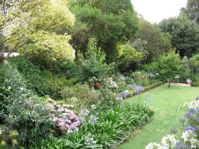 Shrubs Surrounding Tidy Lawn