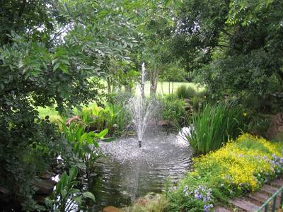 Simple Water Feature In A Quiet Corner