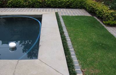 The Pool Was A Bit High So Using Mondo Grass Around The Edges Hid The Raised Concrete