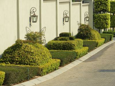 Topiary Animals