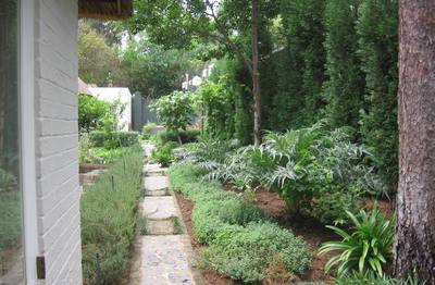 Vegetable Garden Hidden Behind The House