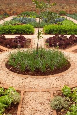 Vegetable Garden