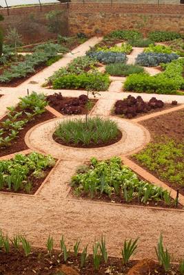 Veggie Garden