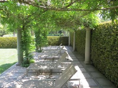 Wisteria Pergola