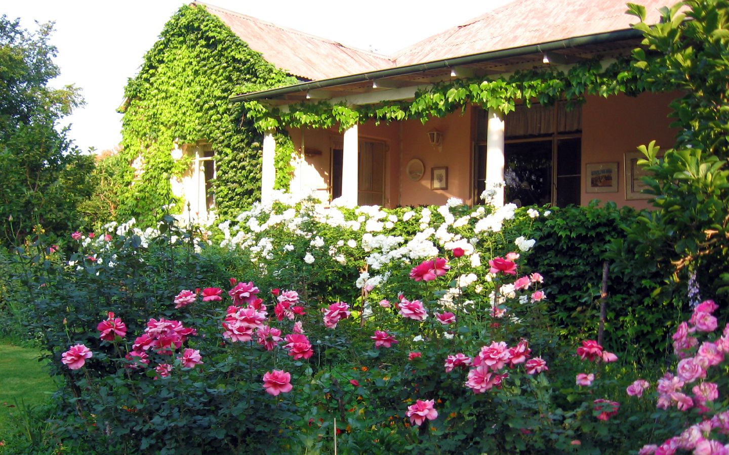Formal hedge parterre