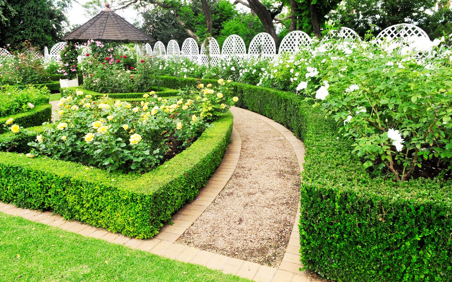 Formal garden with hedges