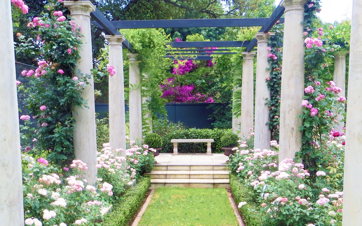 Rose garden design