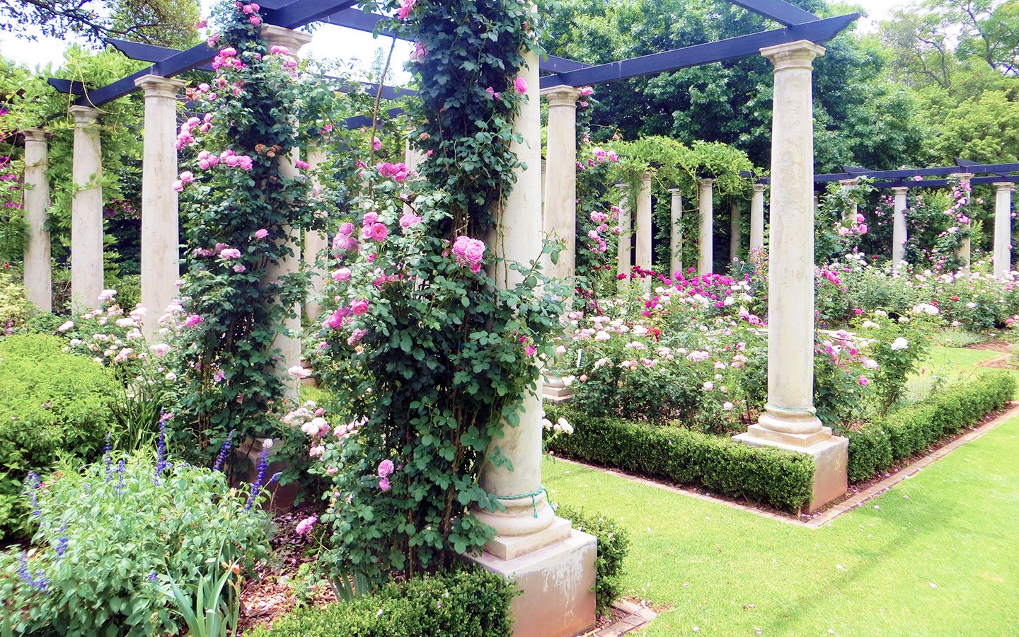 Beautiful garden borders