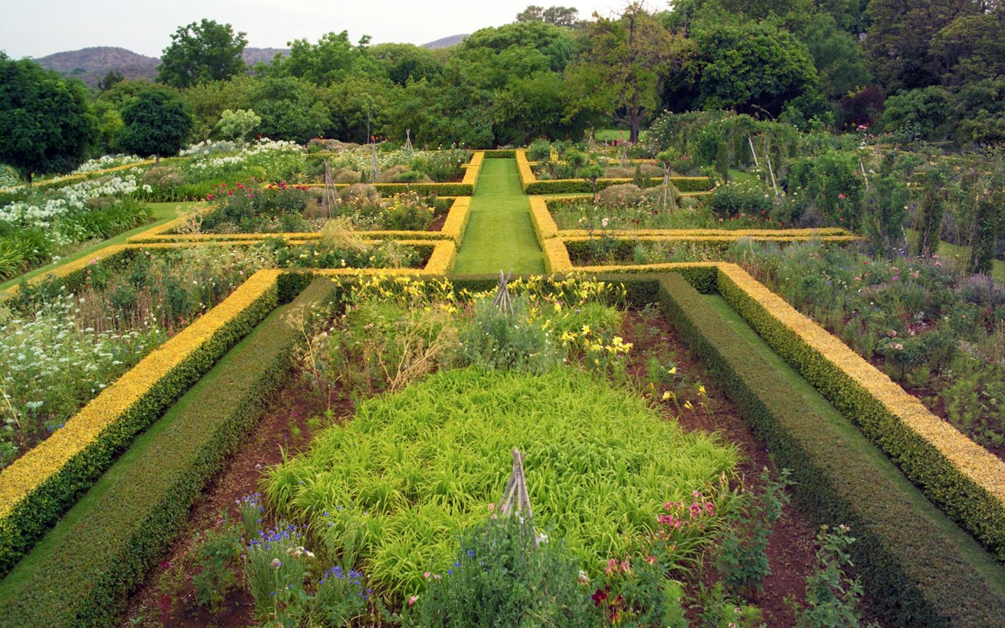 Pergola and climbing plants