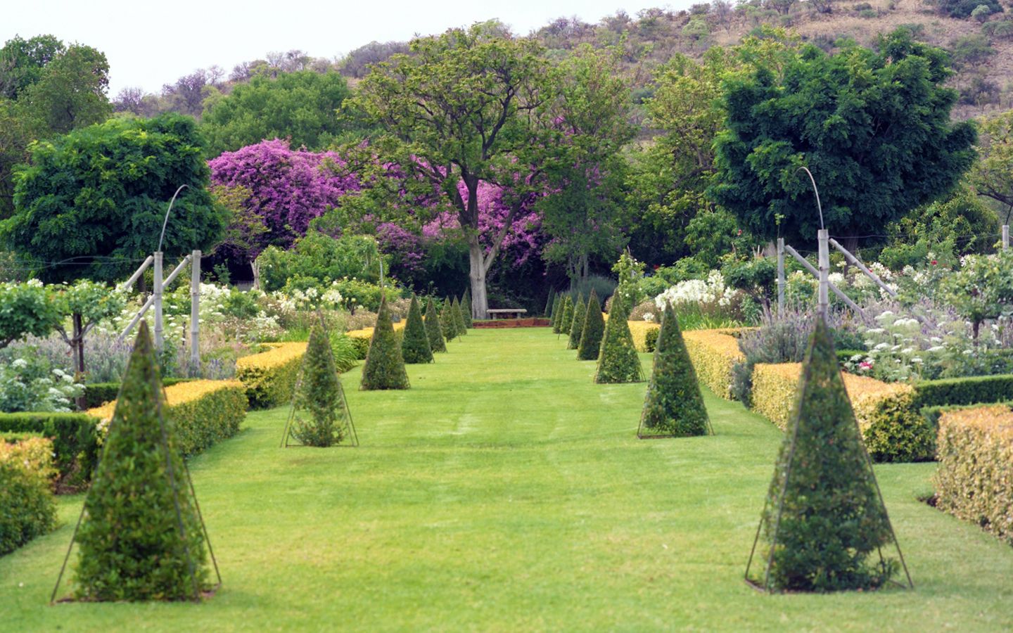 Topiary garden design