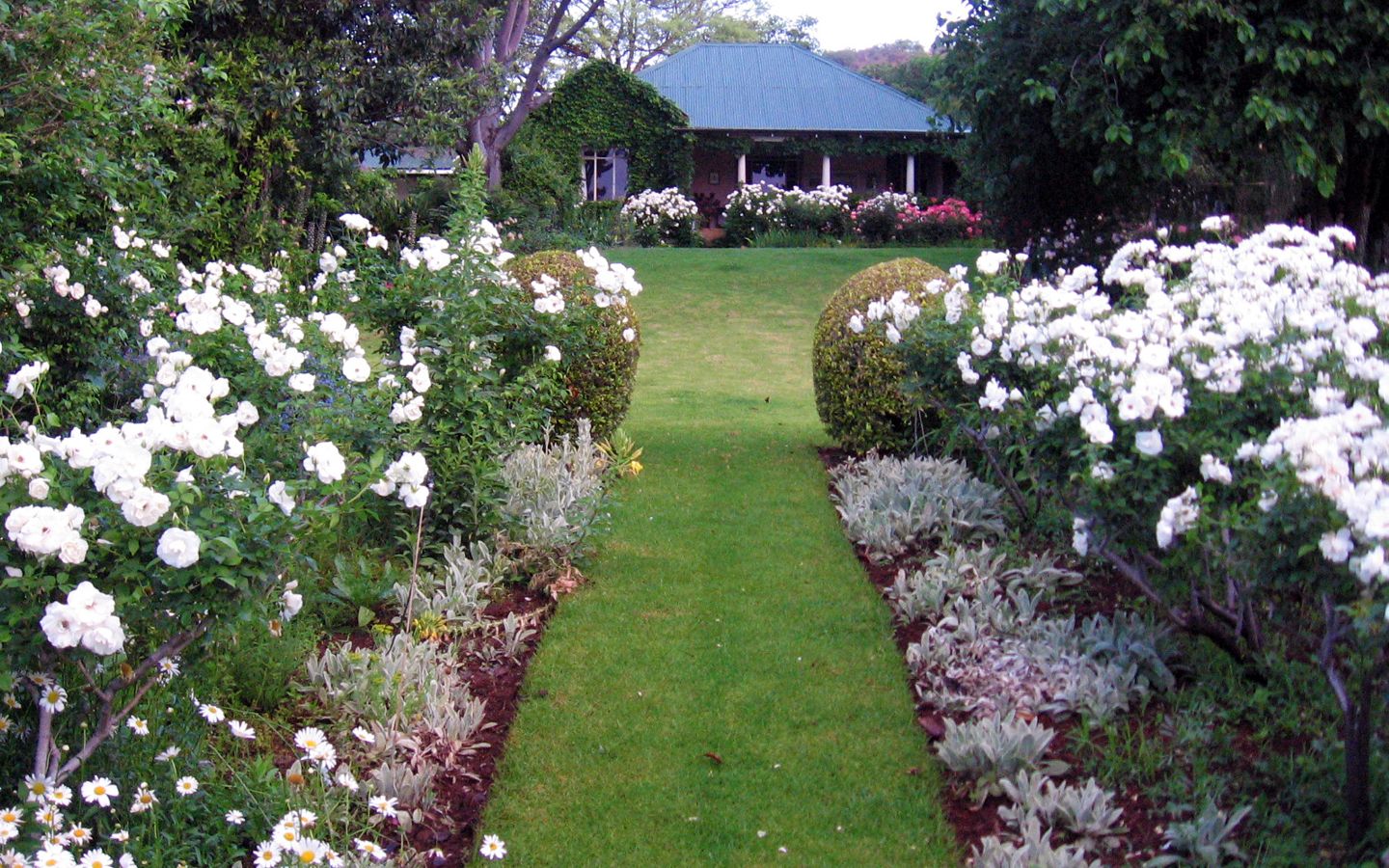 Garden pond and water feature